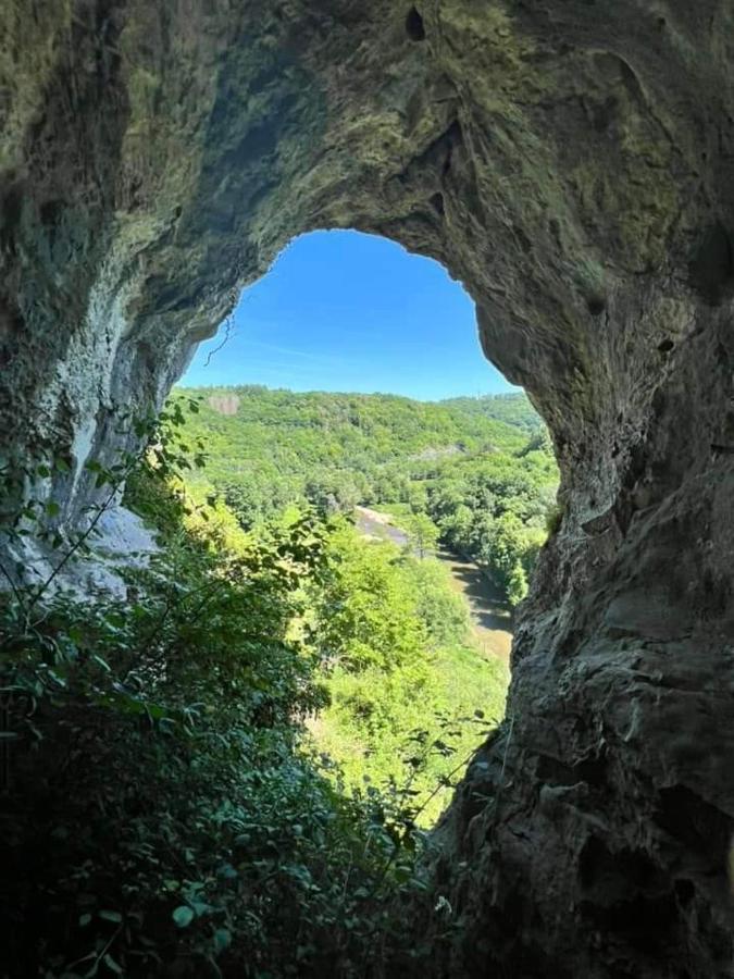 Vakantiestudio Ciney Chapois المظهر الخارجي الصورة