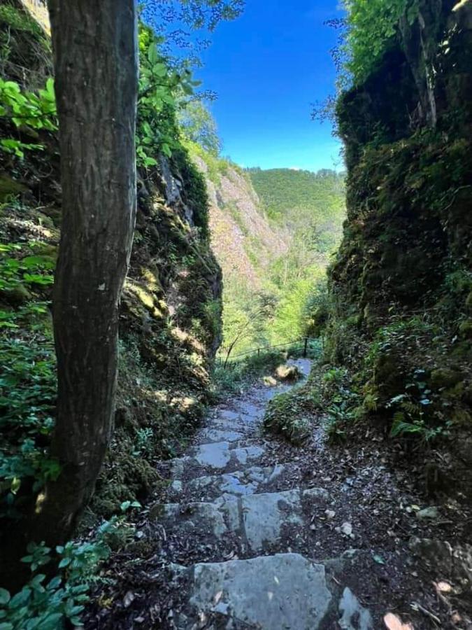 Vakantiestudio Ciney Chapois المظهر الخارجي الصورة